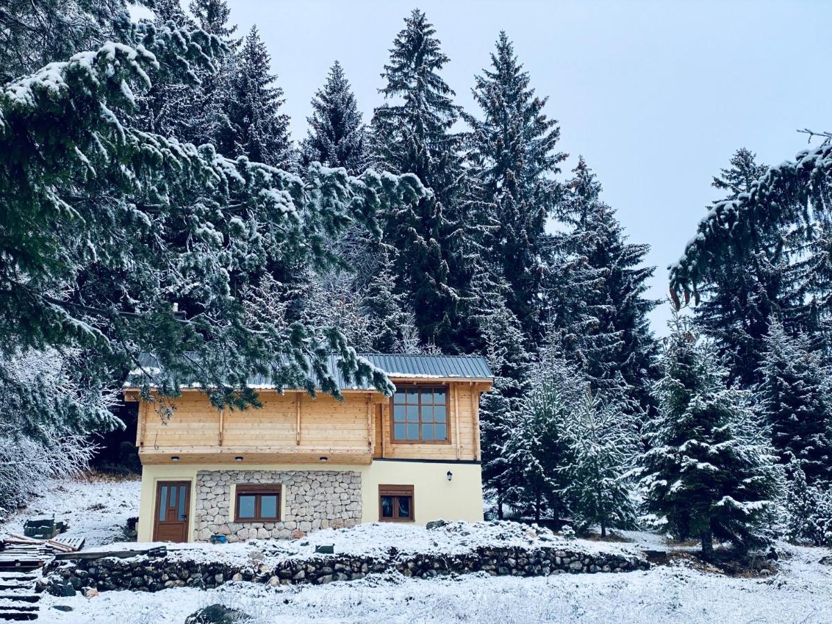 ŽabljakMagia Di Montagna别墅 外观 照片