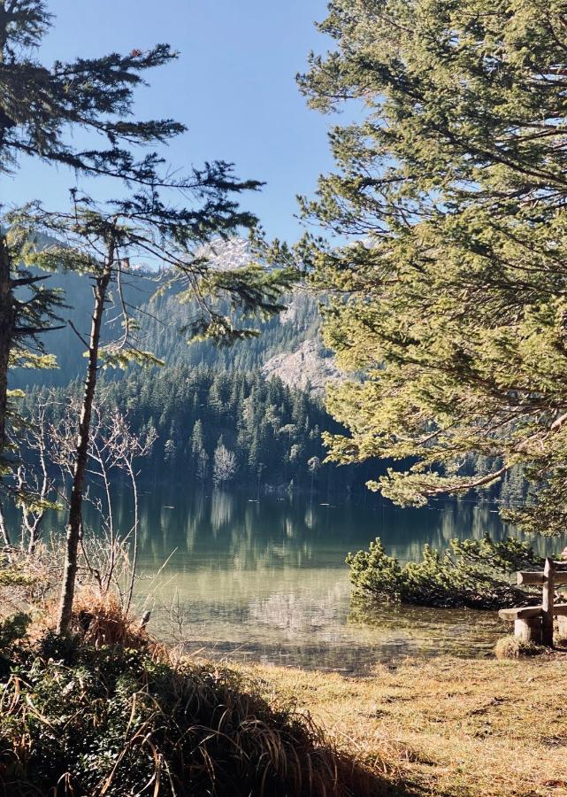 ŽabljakMagia Di Montagna别墅 外观 照片