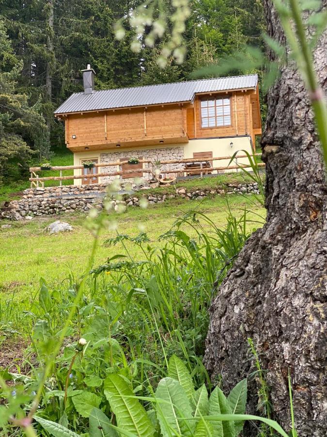 ŽabljakMagia Di Montagna别墅 外观 照片
