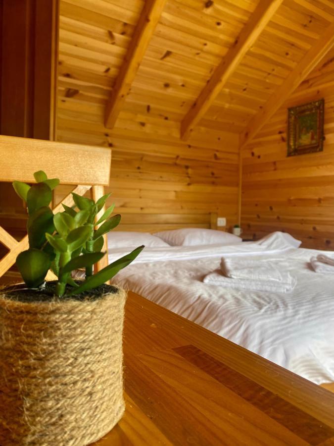 ŽabljakMagia Di Montagna别墅 外观 照片